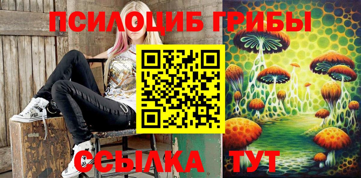 Муром  Псилоцибиновые грибы GOLDEN TEACHER  Вход с VPN  Псилоцибиновые грибы Cubensis 